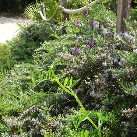 Valinco Capicciolo Vue-proche Mer-piscines
