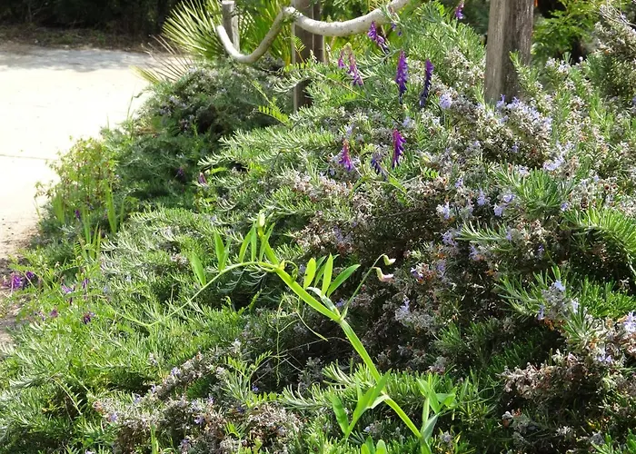 Valinco Capicciolo Vue-proche Mer-piscines