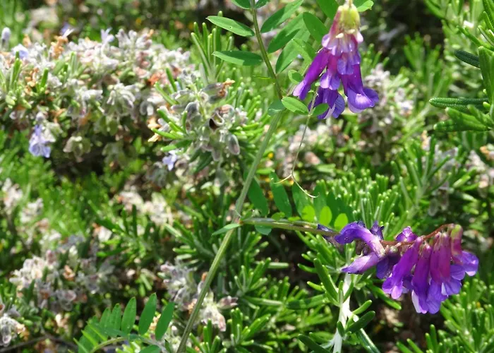 Valinco Capicciolo Vue-proche Mer-piscines *